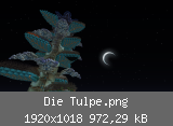 Die Tulpe.png